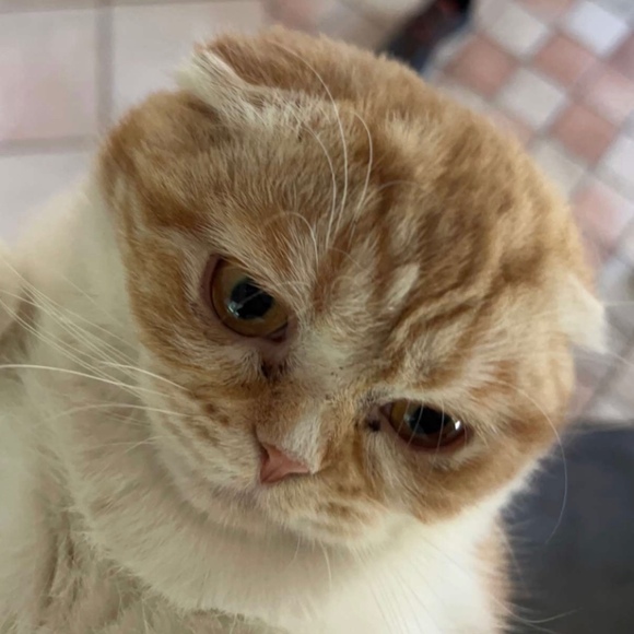 Meet your Posher, Kaethi - Picture 1 of 1